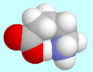 (Struktur von Aminopentansäure -> Ausgewählte Ergebnisse)