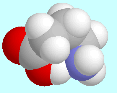 (structure2 of H-bonded GABA)